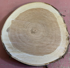 Baumscheibe tischplatte deko - tischplatte,
