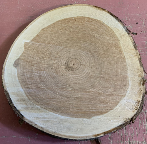 Baumscheibe tischplatte deko - tischplatte,