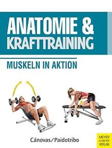 Anatomie und krafttraining - anatomie,