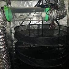 growzelt Gewächshaus Zelt Anzucht grow prima Klima indoor Anbau