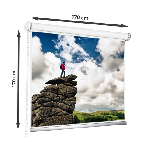 170x170 beamer leinwand - 170x170,