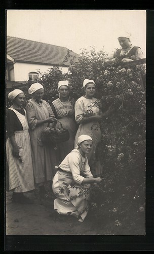 Foto marie petersen - marie,