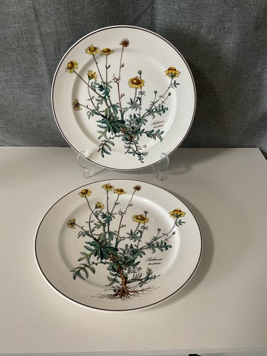 Villeroy boch botanica 2 - boch,