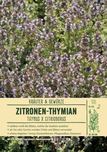Thymus citrodorus aureus - citrodorus,