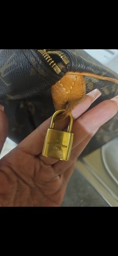 Louis vuitton monogram - louis, canvas