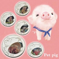 5 STÜCK - LUNAR SCHWEIN 2019