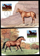 Pferde, u.a. Quarter Horse, Morgan, Saddlebred, Appaloosa. 4Maxikarten.USA 1985