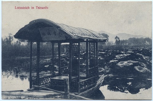 Kiautschou 1910 lotusteich - kiautschou,
