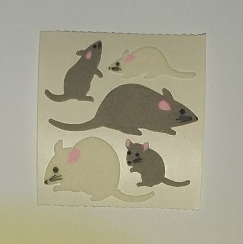Sandylion abriss ratten - abriss,