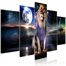 Löwe Tiere Natur Abstrakt