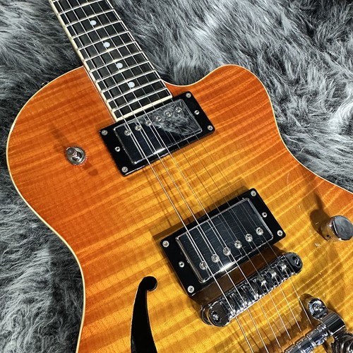 Hagstrom d2f gitarre - d2f, e-gitarre