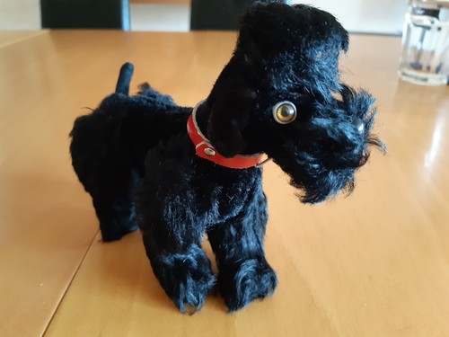 Steiff pudel schwarz snobby - steiff,