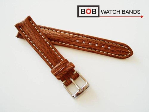 Bob echt haifisch - bob,