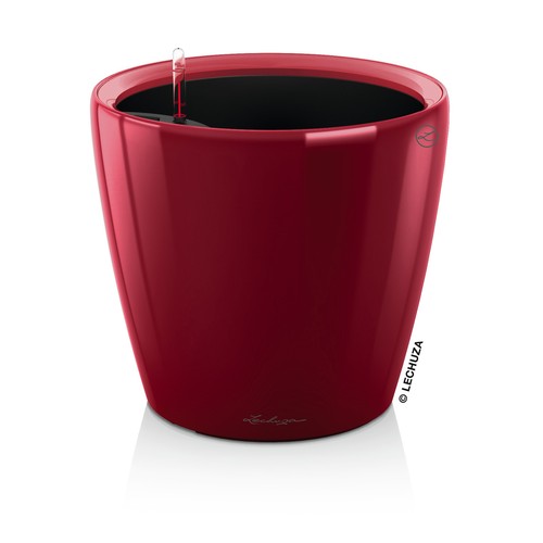 Lechuza classico premium 28 - classico, ls