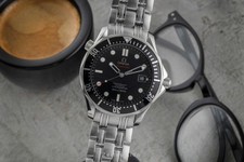 Omega Seamaster Professional