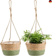 Blumentopf Hängende Seagrass