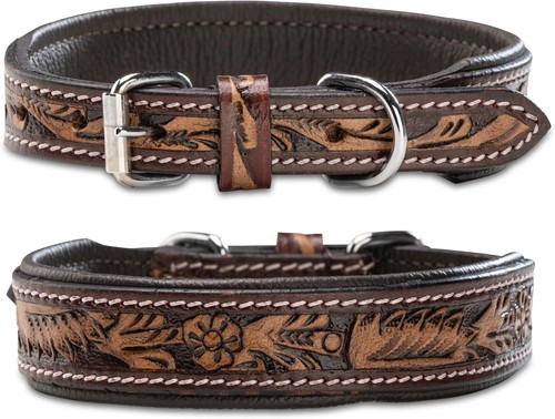 Jack russell leder - jack,