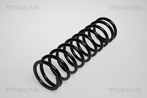 Triscan spiralfeder hinten - spiralfeder,
