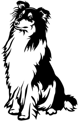 Collie aufkleber - collie,
