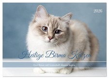 Heilige Birma Katzen - Eine