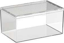 Terrarium für spinnen - spinnen,