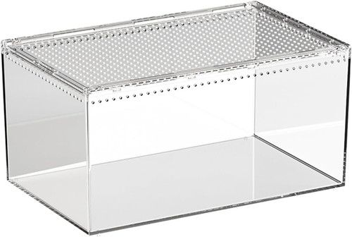 Terrarium für spinnen - terrarium,