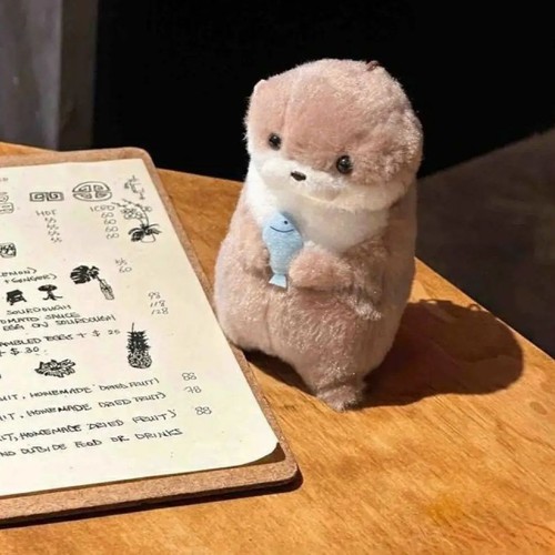 Otter plüsch - otter,