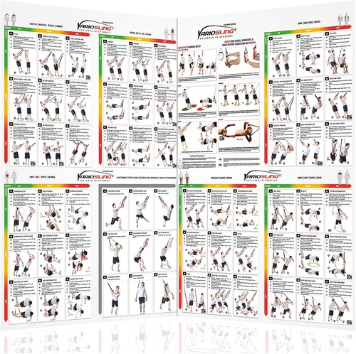 Sling trainer übungs poster - sling,