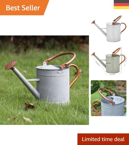 Elegante verzinkte - 3,8l,