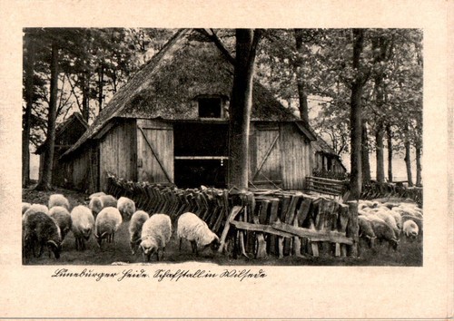 Schafstall wilsede - in,