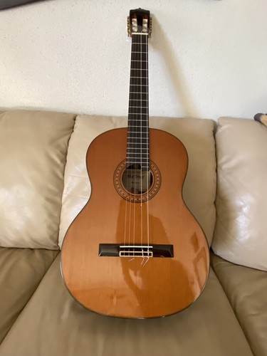 Akustik gitarre 4 - akustik,