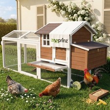 Hühnerstall Hühnervoliere