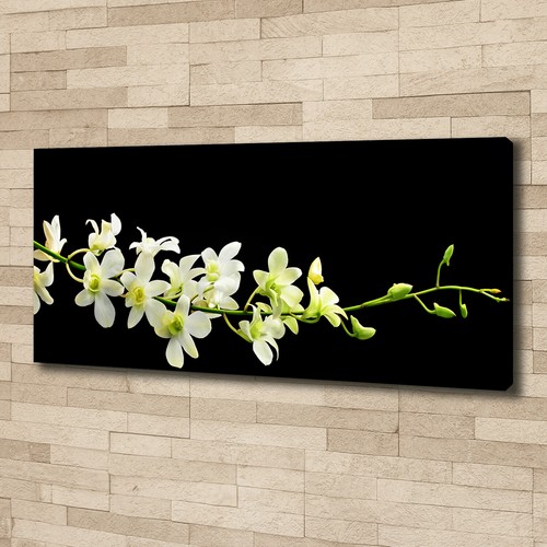 Leinwandbild kunst druck - leinwandbild, kunst-druck