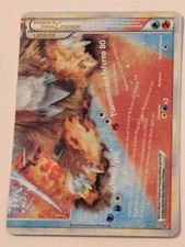 Pokemon TCG Suicune & Entei