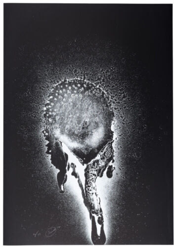 Stell auf otto piene - stell-es-auf!,