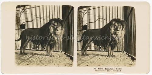 Berlin zoologischer garten - zoologischer,