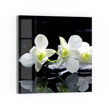 DEQORI Glasbild 'Orchidee mit