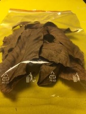 50 braune Walnussblätter Laub