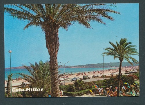 Cala - ,