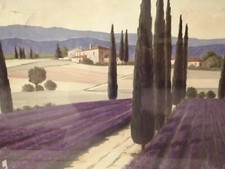 Bild Lavendel Landschaft, Wunderschön. Sommer Italien 