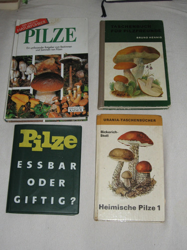 Pilze eßbar oder giftig