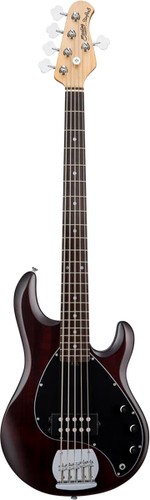 Sterling music man - sterling, ray5
