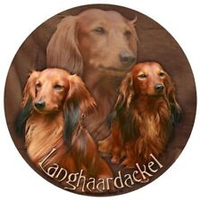 DACKEL-Langhaardackel