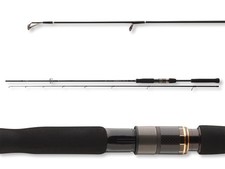 Daiwa Airity Spin 2,70m 28-70g Spinnrute 2-teilig Spin Rute