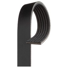 Gates Keilrippenriemen 2080928