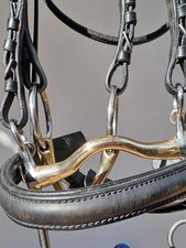 Kandarenzaum mit Dressurkandare