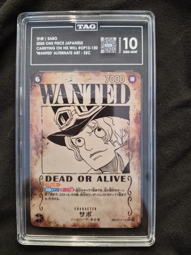 Sabo wanted alt art op13 - alt, op13-120