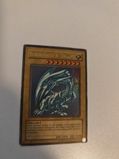 Blauäugiger W. Drache - SDK -