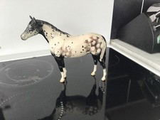 Beswick Appaloosa Hengst Nr