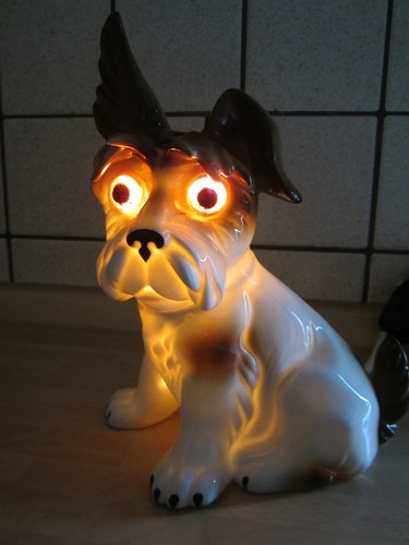 Rauchverzehrer hund terrier - rauchverzehrer,